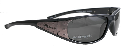 Black shades with metallic accents and polarized lenses