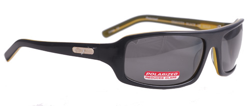 Black on gold shades with smoky polarized lenses