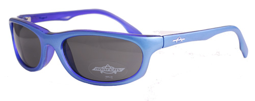 Smoke shaded sunglasses with a blue frame