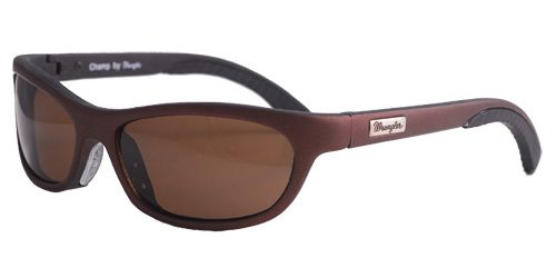 Sunglasses with brown lenses and frame