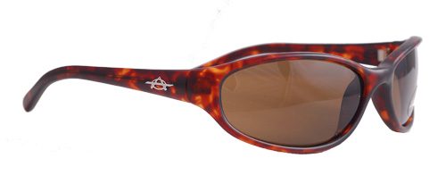 Fashionable brown lens sunglasses